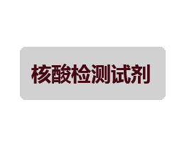核酸检测试剂